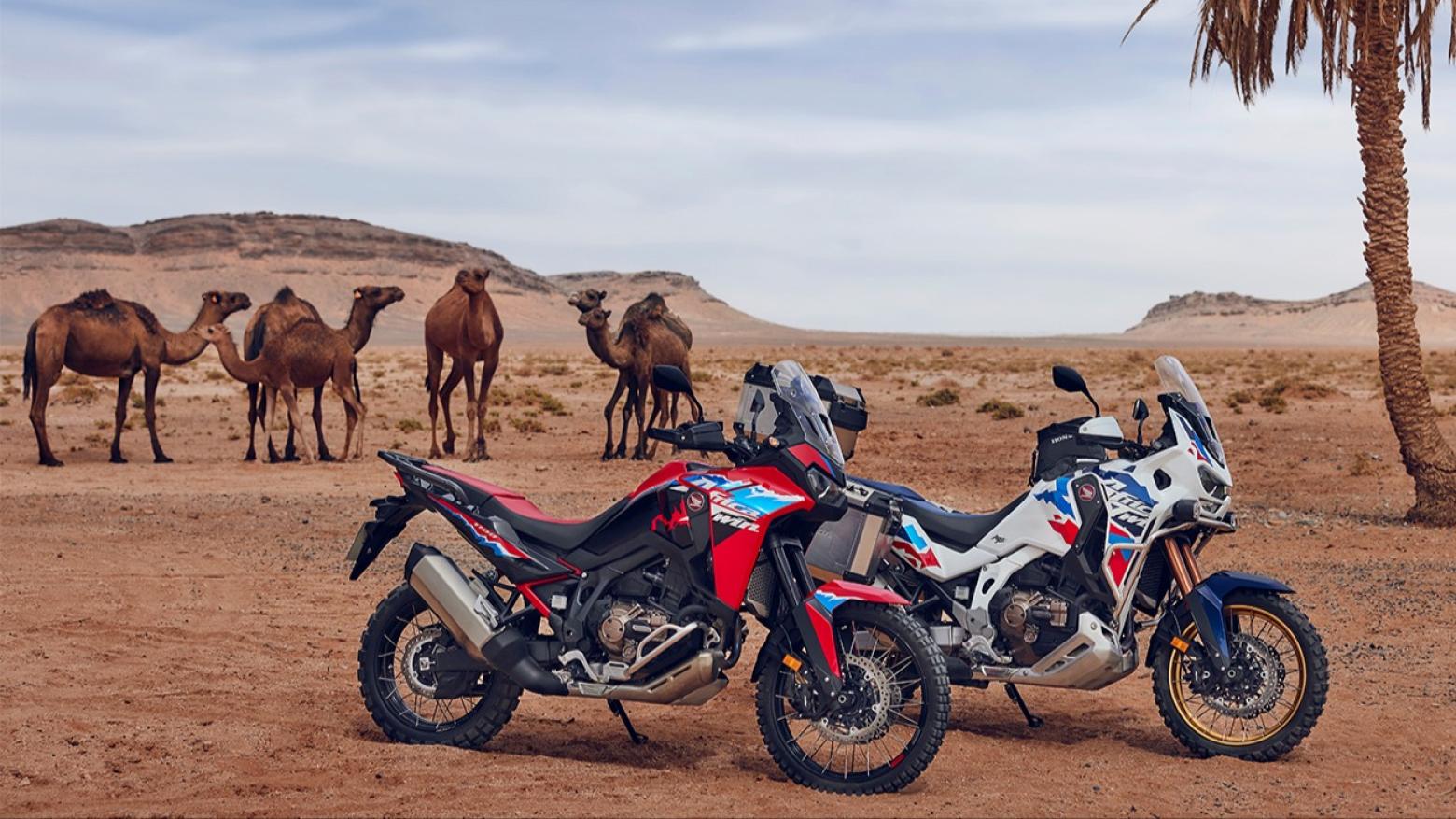 Honda Africa Twin 1084 - 102hp, 105Nm tork, 215 km/h en yüksek hız