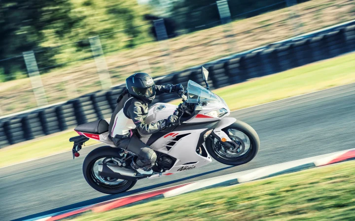 Kawasaki Ninja 300 ABS - 39hp, 26Nm tork, 180 km/h en yüksek hız
