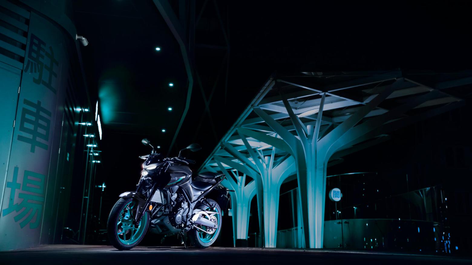 Yamaha MT-25 - 36hp, 26.6Nm tork, 170 km/h en yüksek hız