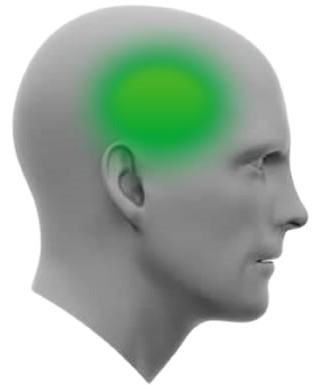 TRIP Motorcycle Helmet Features