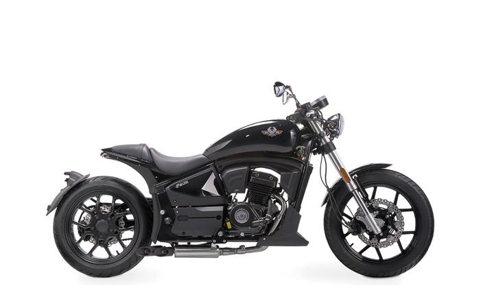 REGAL RAPTOR PILDER 250 Modello di motocicletta Specifiche: Coppia:14.7nm., Potenza:20hp, Peso:190, Velocità massima:130, Capacità serbatoio: 15, Consumo carburante: 3.5, Numero cilindri:2, Numero valvole: 4