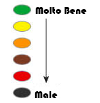 QWEST Caratteristiche del Casco da Moto